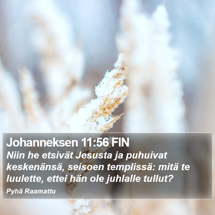 Johanneksen 11:56 FIN Bible Study