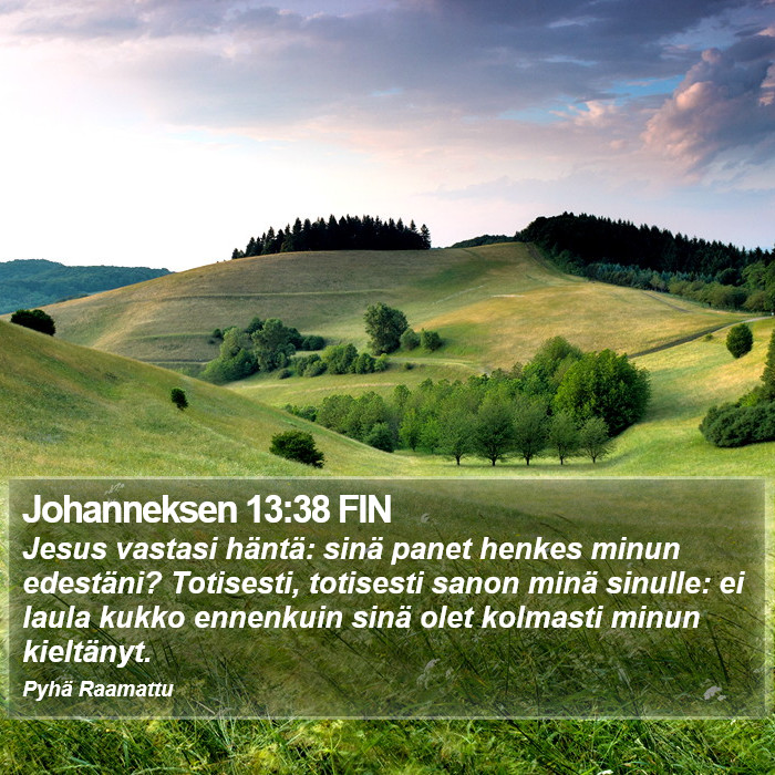 Johanneksen 13:38 FIN Bible Study