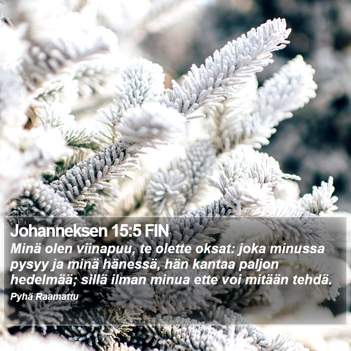 Johanneksen 15:5 FIN Bible Study