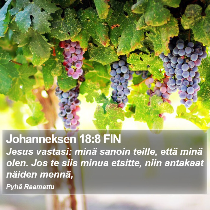 Johanneksen 18:8 FIN Bible Study