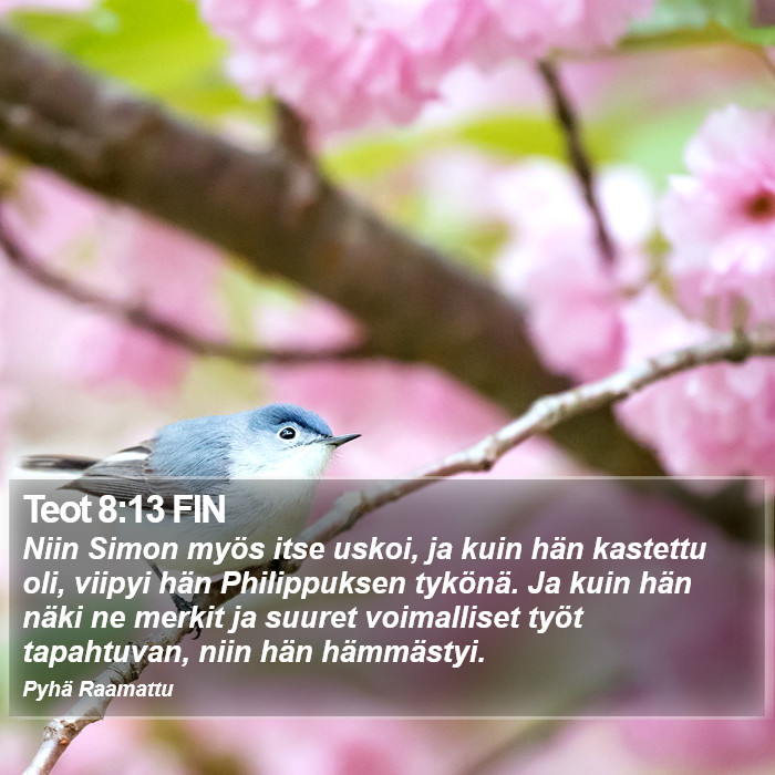 Teot 8:13 FIN Bible Study