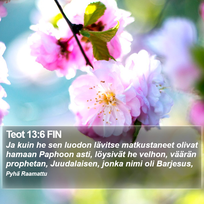 Teot 13:6 FIN Bible Study