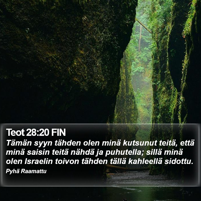 Teot 28:20 FIN Bible Study