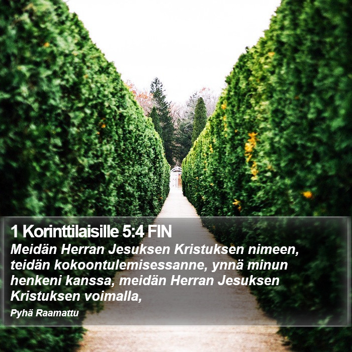1 Korinttilaisille 5:4 FIN Bible Study