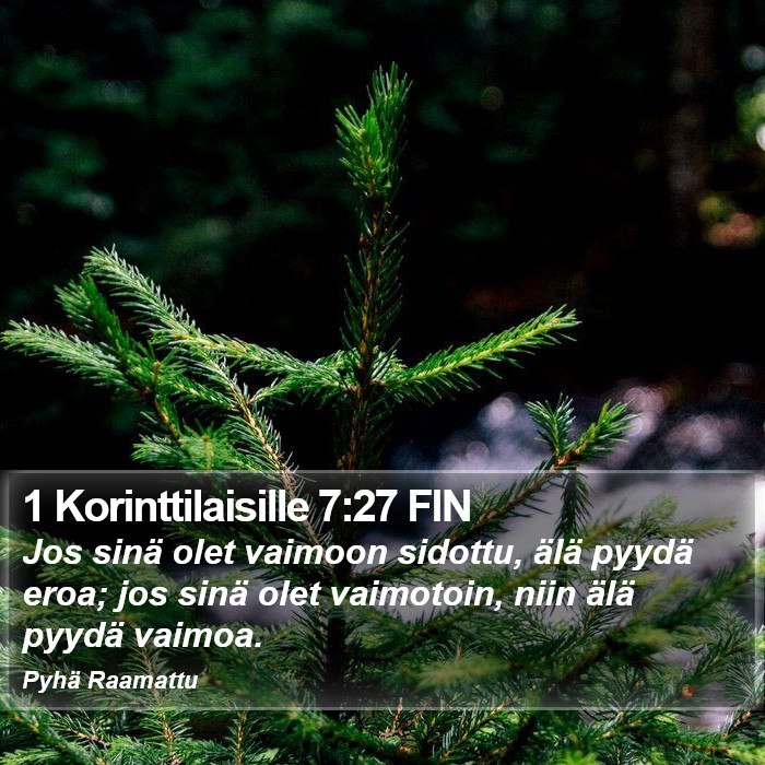 1 Korinttilaisille 7:27 FIN Bible Study