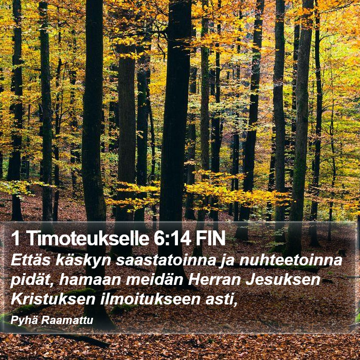 1 Timoteukselle 6:14 FIN Bible Study