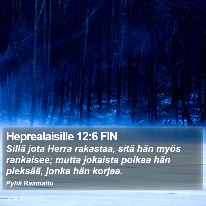 Heprealaisille 12:6 FIN Bible Study