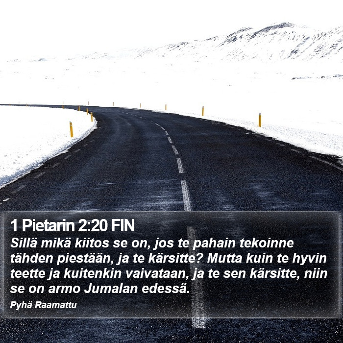 1 Pietarin 2:20 FIN Bible Study